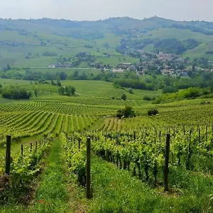  Casa vacanze Oltrepo' Dimora Nei Vigneti Vicino A Ics Maugeri Italia
